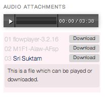 This screen grab displays what the 'Audio Attachment Widget' will look like on the front-end of your website, when all widget options have been selected.