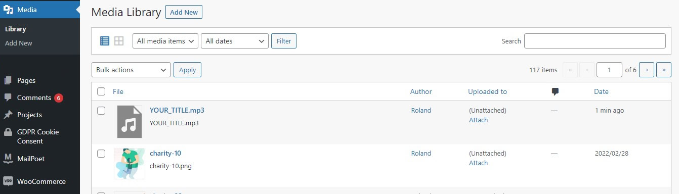 Add audios in other editors like Divi visual builder here