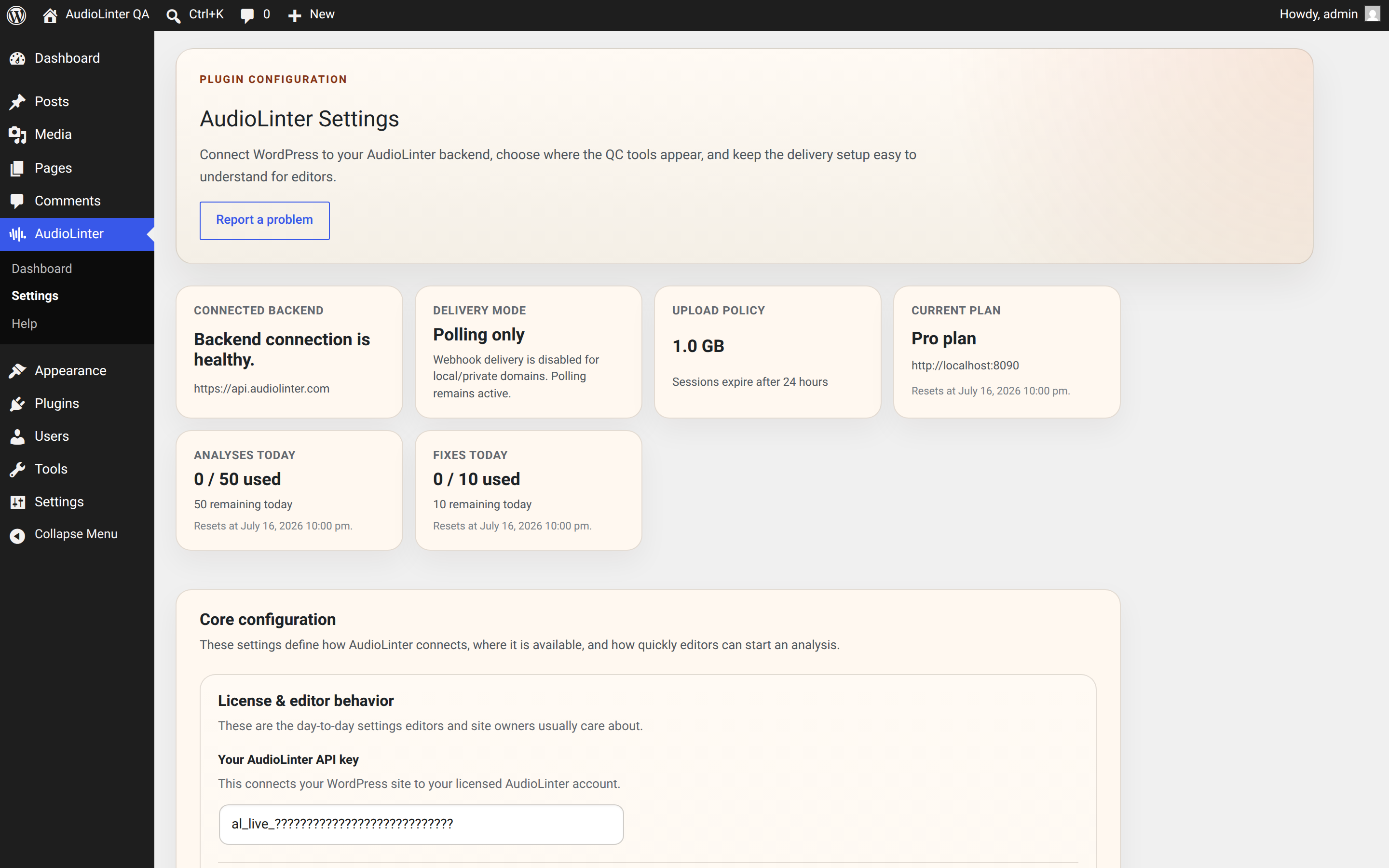 Settings page with API credentials, consent checkbox, and editor configuration.
