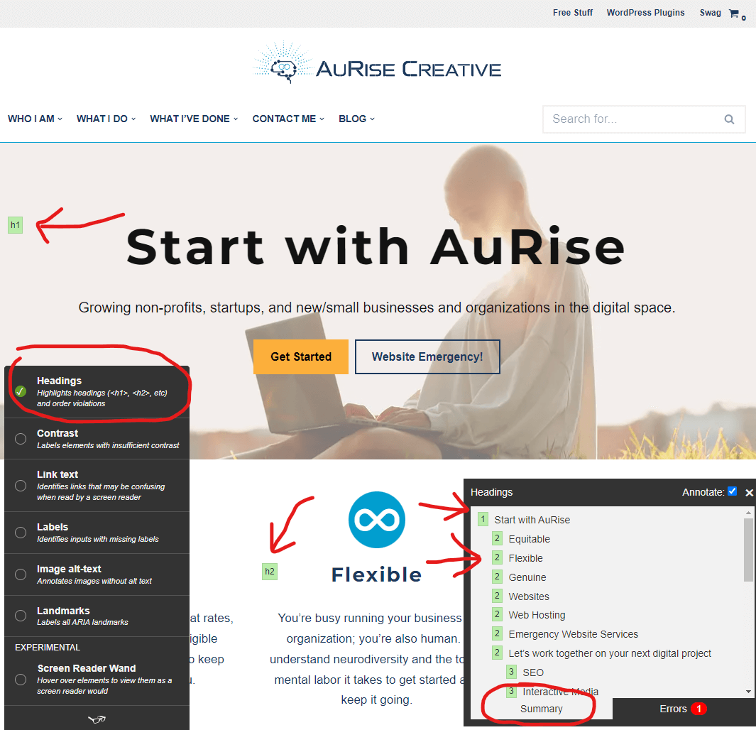 Screenshot of the author's homepage with the headings feature enabled. The screenshot is annotated with a red circle over the headings option in the menu showing it is checked and red arrows pointing to the headings summary along with the display of headings on the page itself that match the indented list in the summary tab.