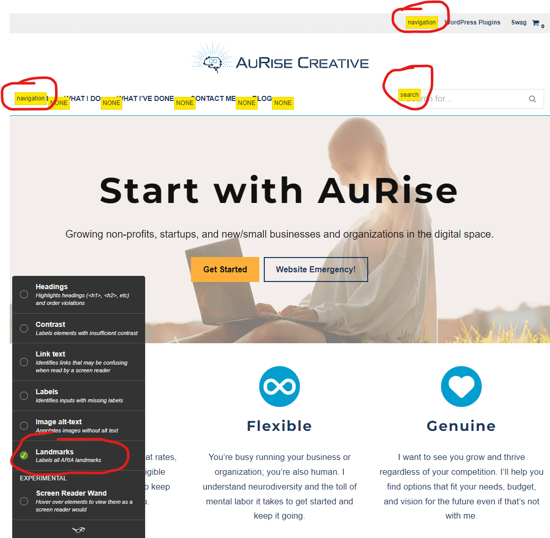 Screenshot of the author's homepage with the landmarks feature enabled. The screenshot is annotated with a red circle over the landmarks option in the menu showing it is checked and red circles around the yellow labels displaying landmarks discovered on the webpage.
