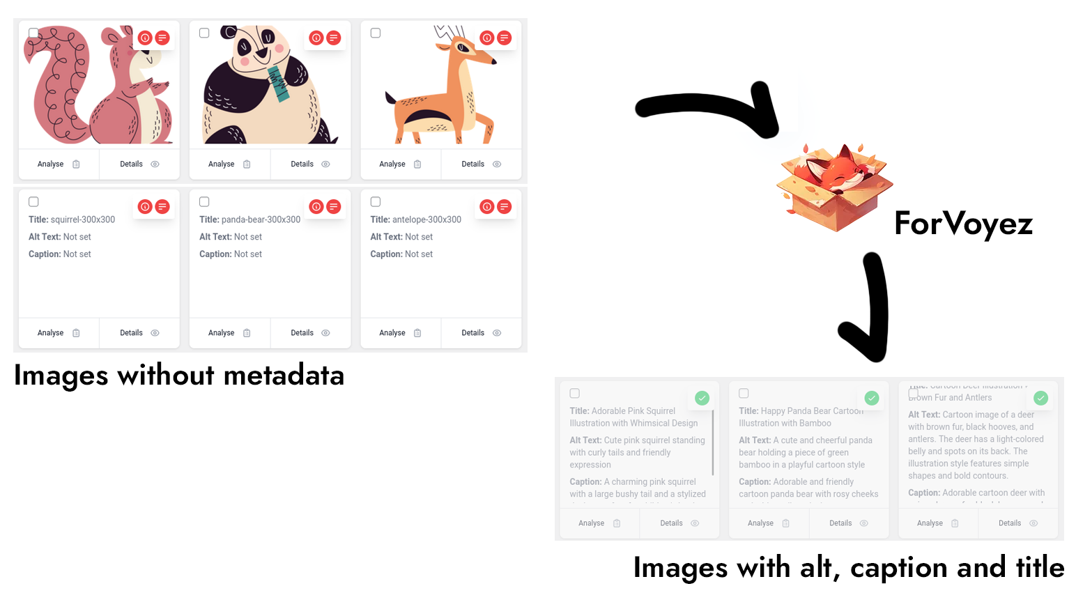 Image Management Interface - Main dashboard for managing and analyzing your WordPress media library.