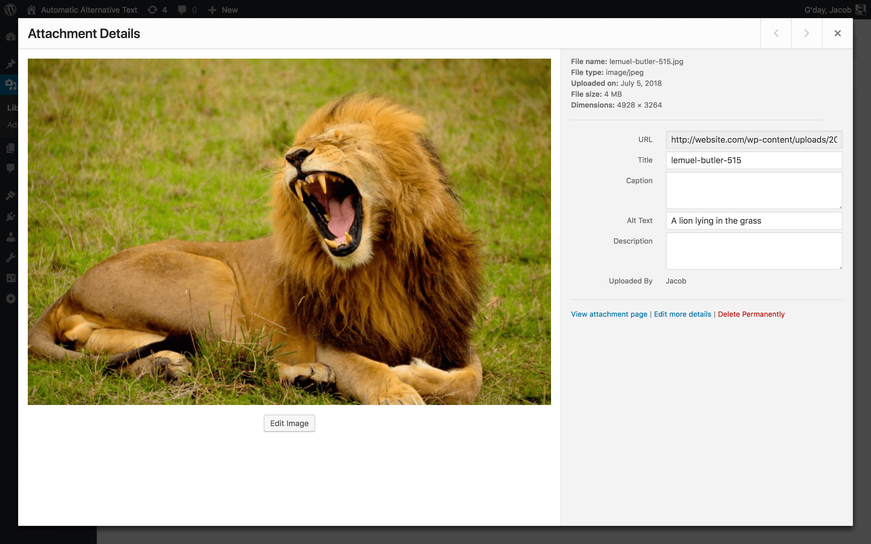 An uploaded image with automatic alt text added.