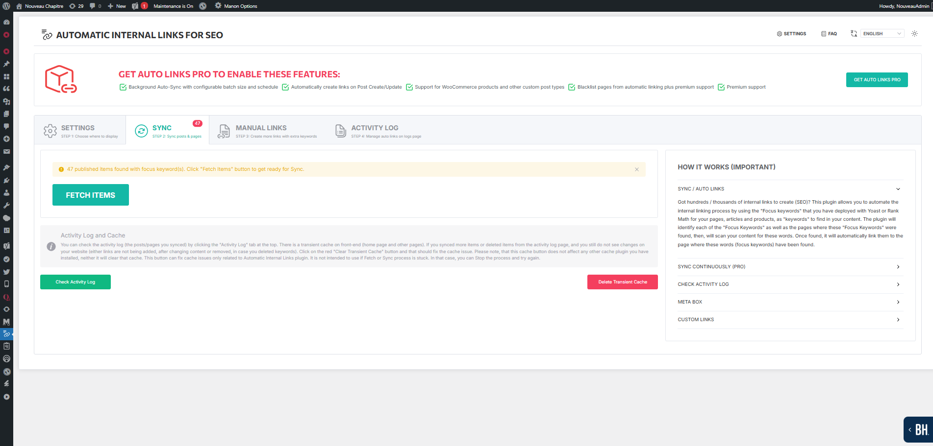 Manual internal and external links