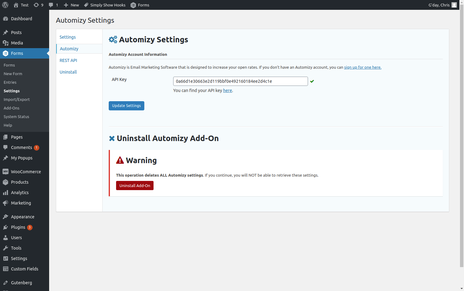 The settings screen where you add your Automizy API Key
