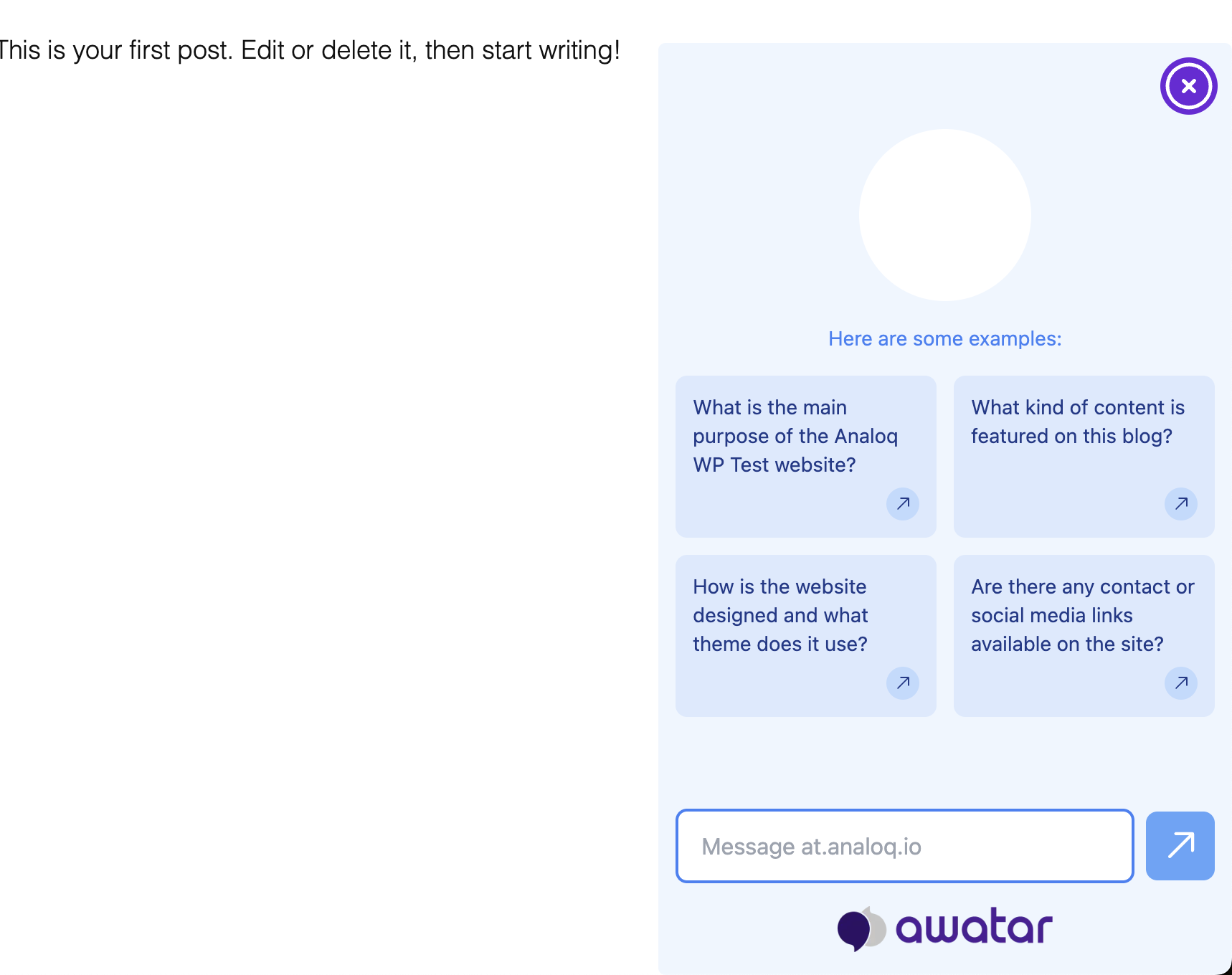 The chatbot window open and ready for conversation.