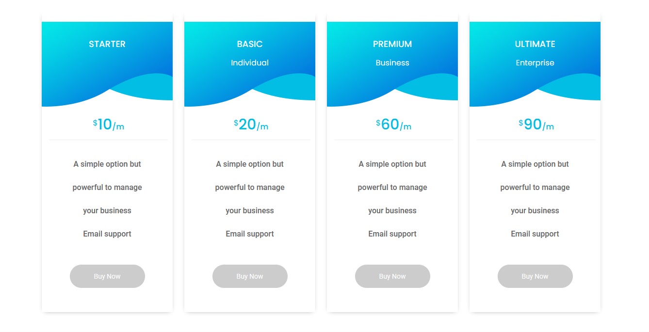 Pricing Table Style two