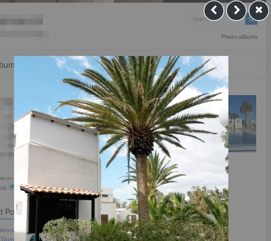 The lightweight photo viewer in the photo gallery