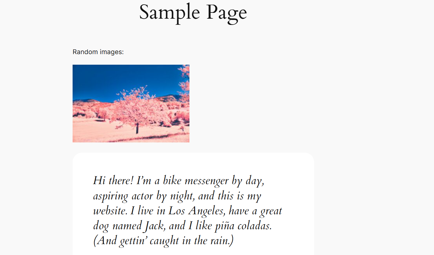 Random image displayed on a page.