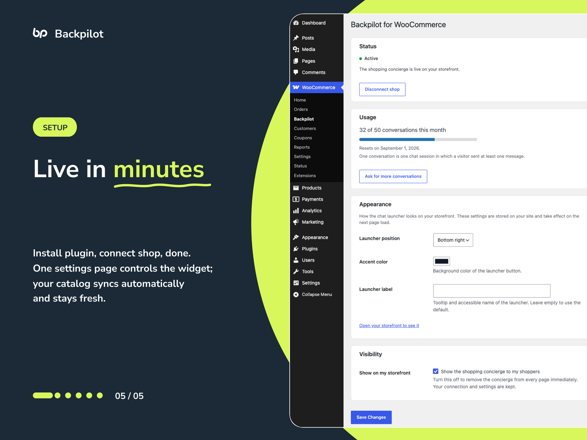 Live in minutes — one settings page: connection status, usage, appearance and visibility.