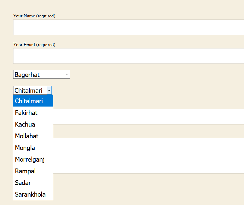 Frontend