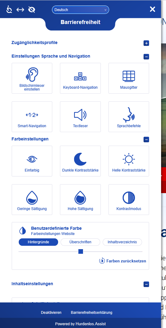 **Expanded Widget on Website** – The expanded Hürdenlos.Assist widget showing accessibility options.