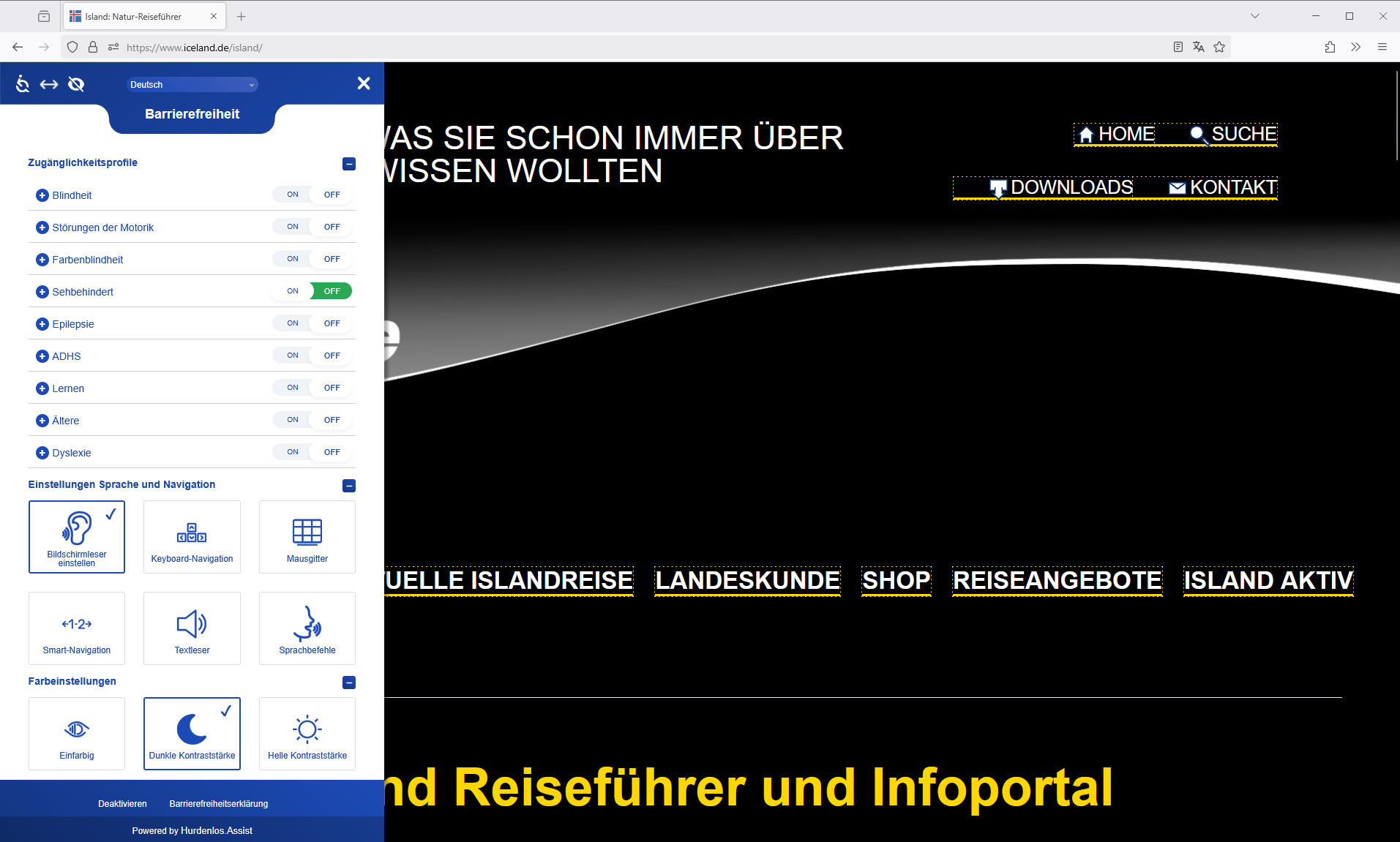 **Vision-Impaired Profile Active** – The widget in action with settings optimized for users with visual impairments (e.g., larger text, higher contrast).