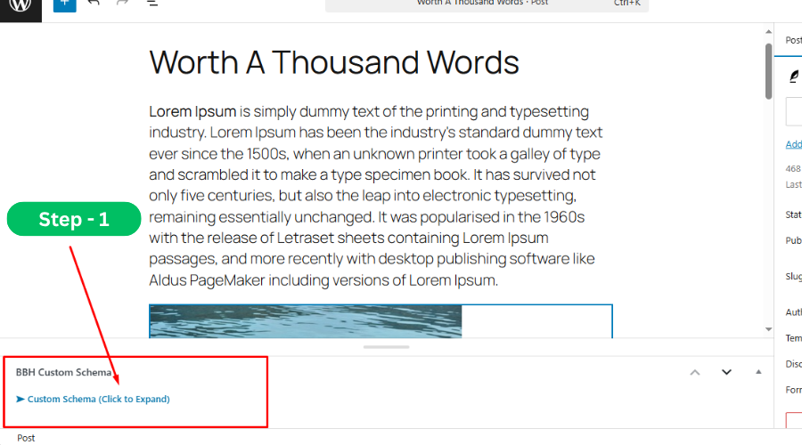 Custom Schema input box under post/page editor