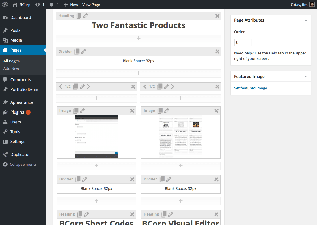 Typical Editor screen