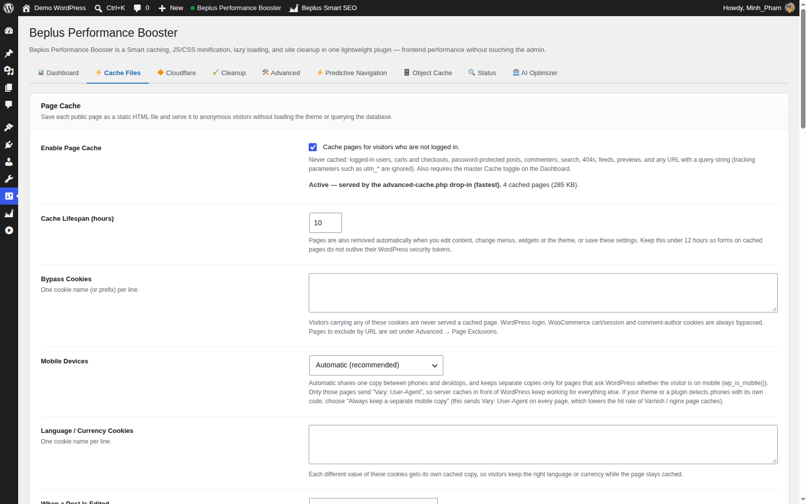 **Cache Files tab** — CSS and JS file minification options with cache-exclusion controls.