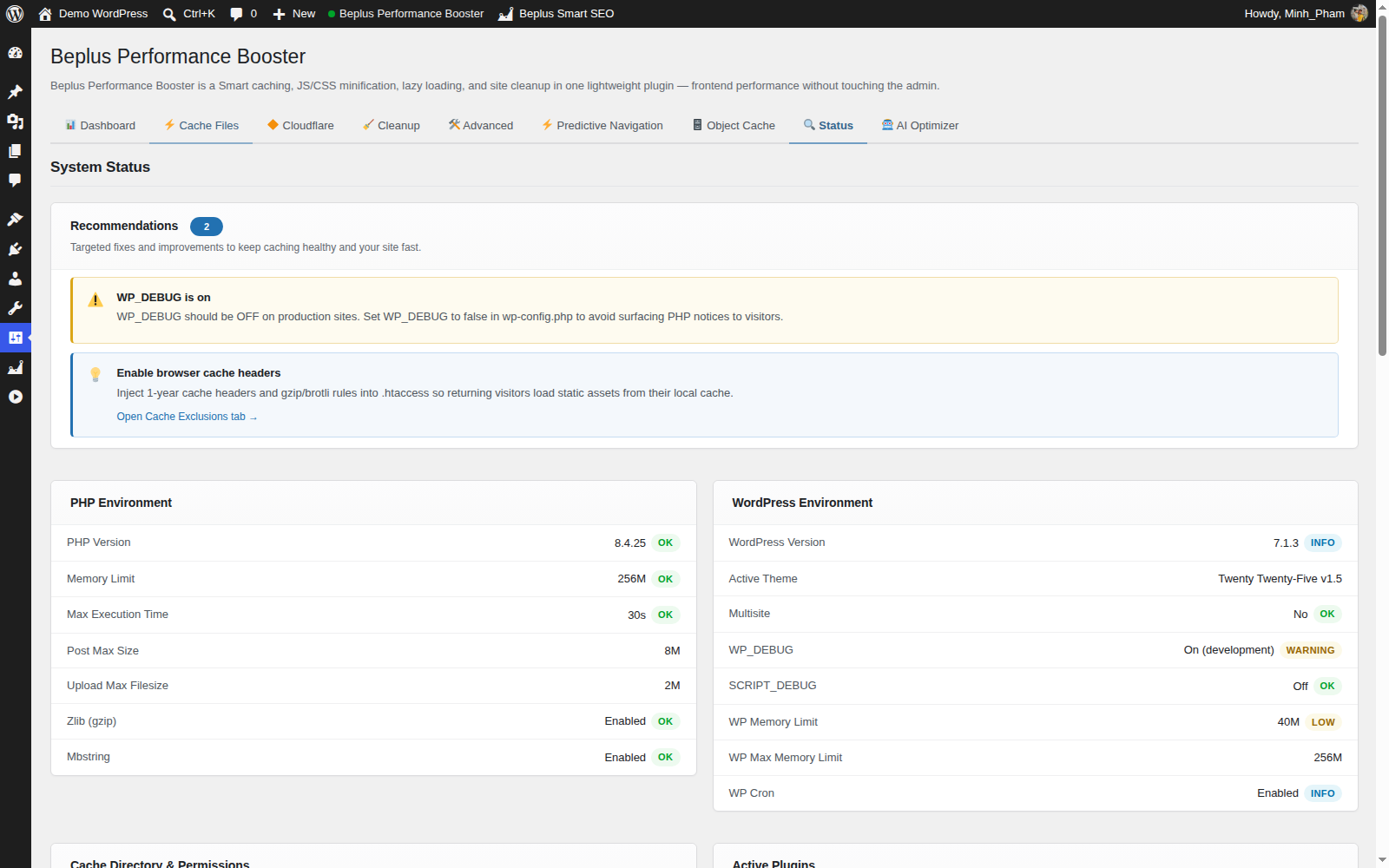**Status tab** — Live system status report covering PHP, WordPress, server environment, and plugin settings.