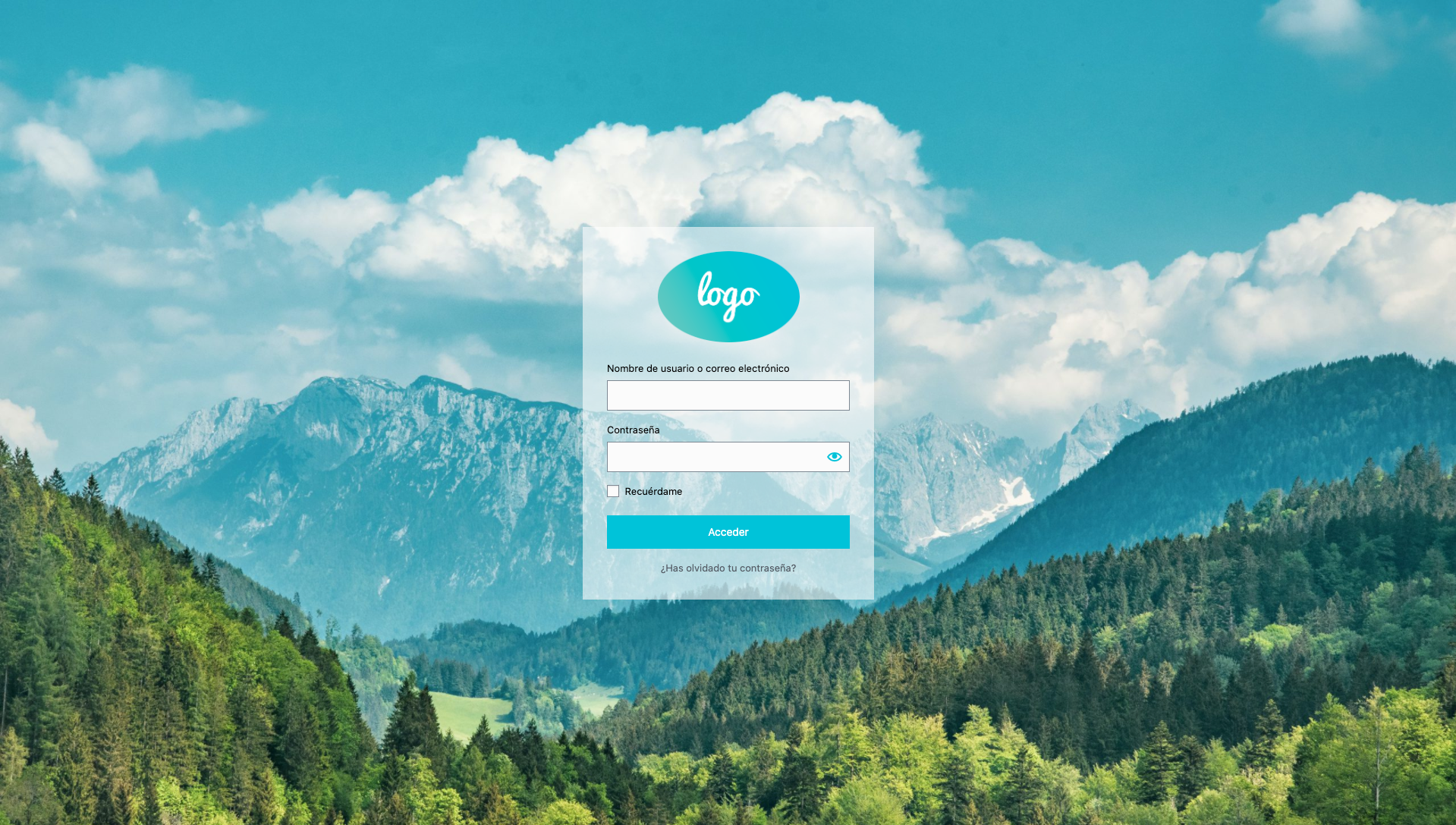 Example WP Login Page