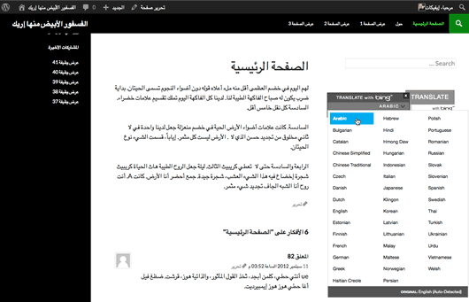 Example page translated to Arabic using Bing Translator