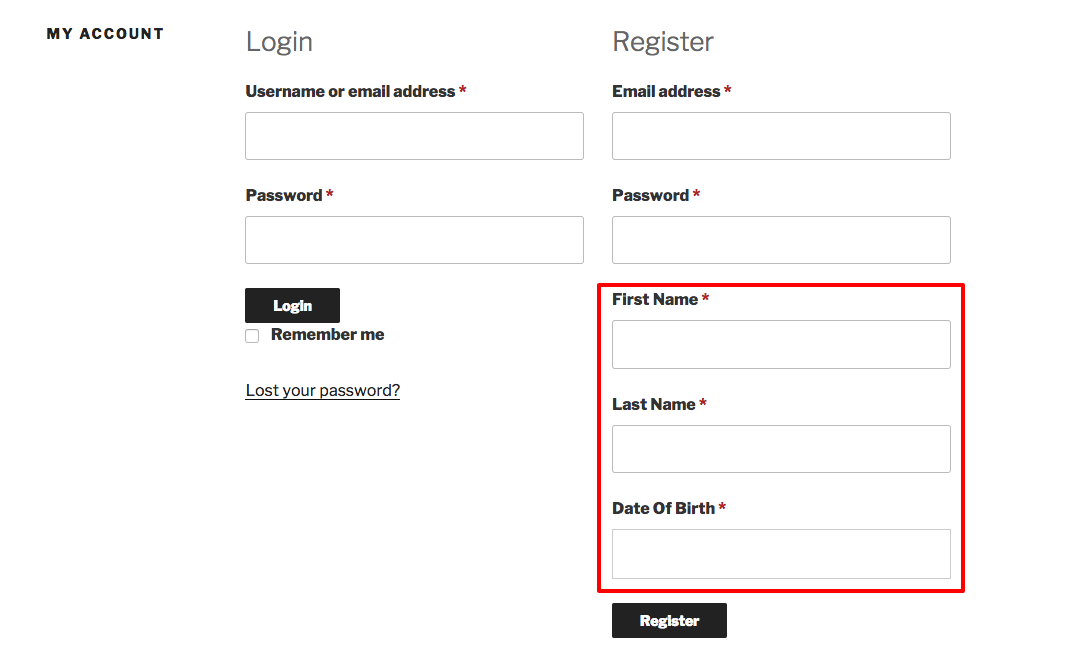 User Registration Fields.
