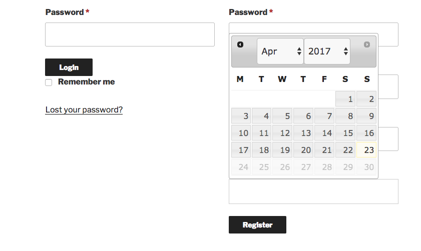 User Login Field