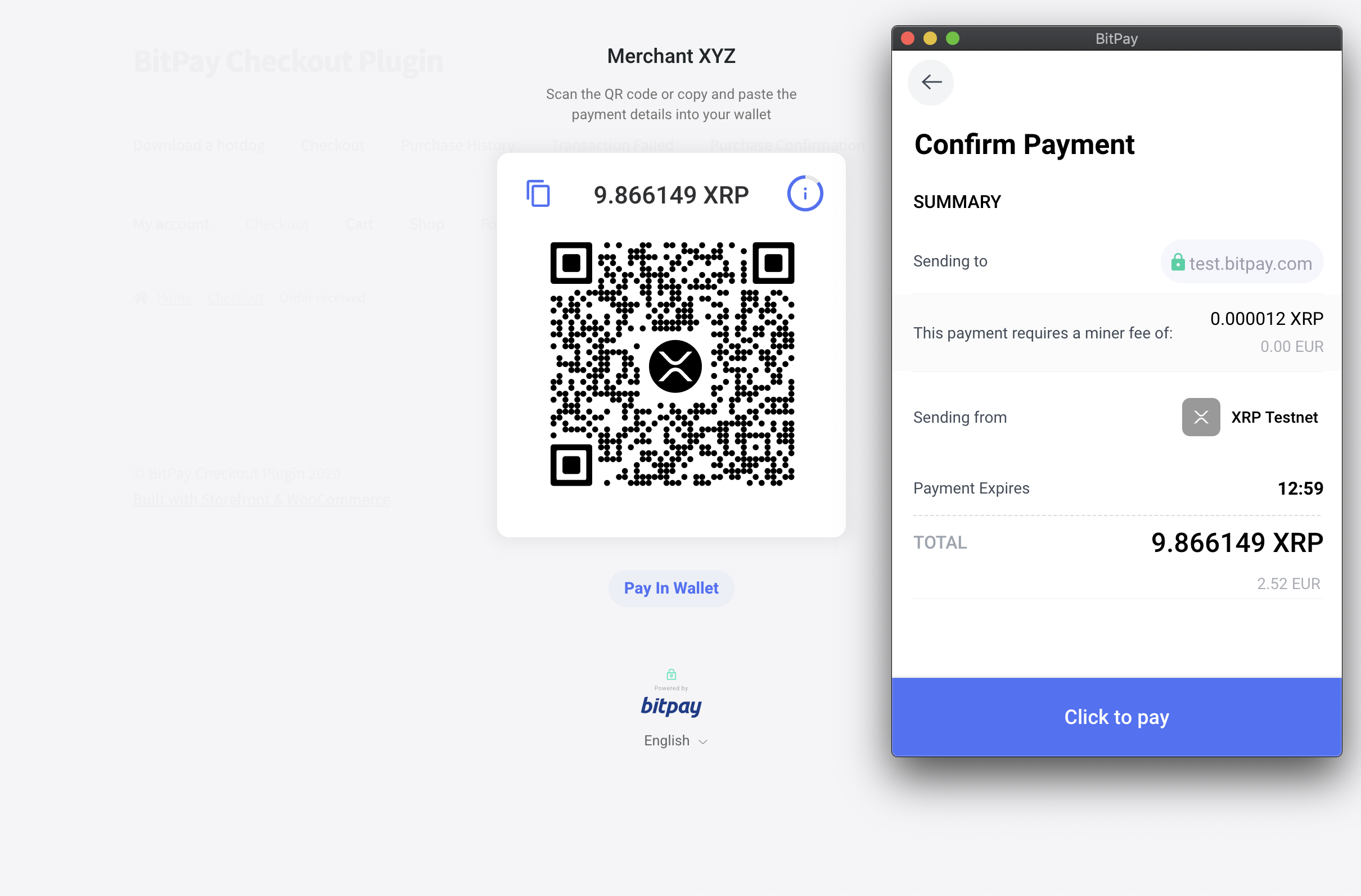 BitPay merchant dashboard - the invoice previously paid is recorded under the "Payments" section