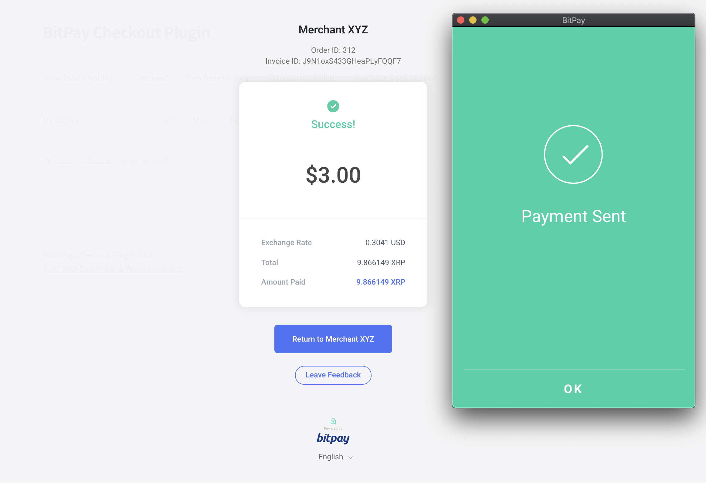 BitPay merchant dashboard - detailed invoice view