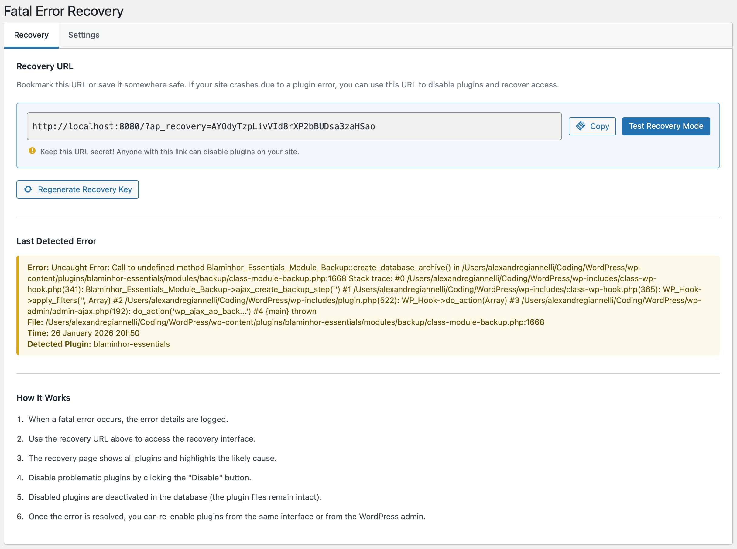 Fatal Error Recovery – Detect PHP fatal errors and recover without FTP access.