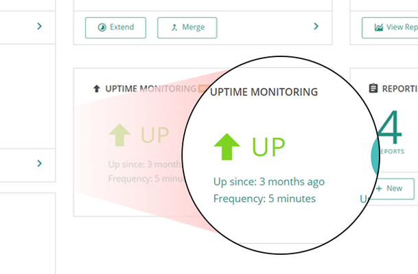 With Uptime Monitoring you get notified the moment your website is shut down.