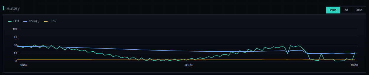 History & trends — 24h / 7d / 30d graphs of CPU, memory and disk (Pro).