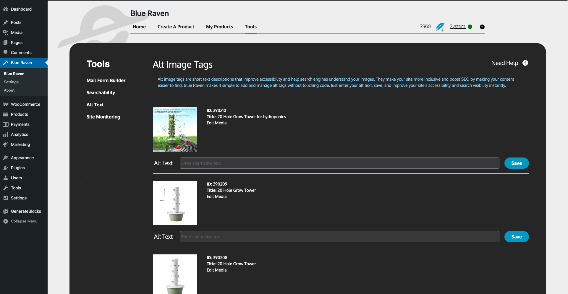 Site Verification Tags