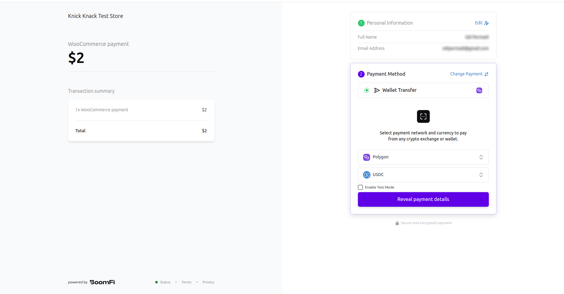 Select network and currency to settle the payment