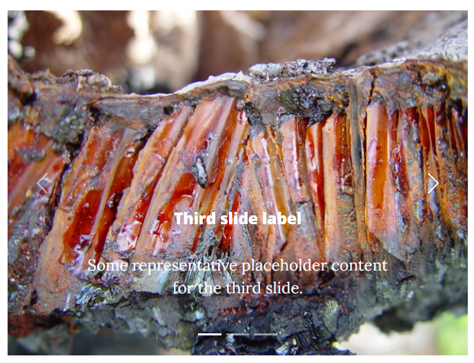 Full preview on boot slider