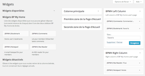 The BPMH sidebars in WordPress Widgets administration