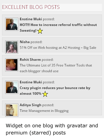 This is how the widget looks like on one blog in the network. This widget is configured to show gravatar of bloggers who posted campaings.