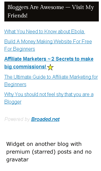 Here is the widget on another blog, this time configured not to show gravatar. Note that the widget takes the inbuilt design of your theme.