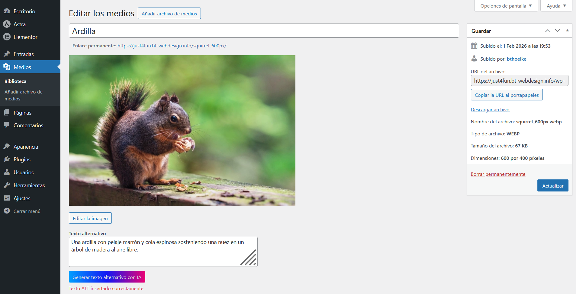 Plugin settings page with AI prompt and API-key