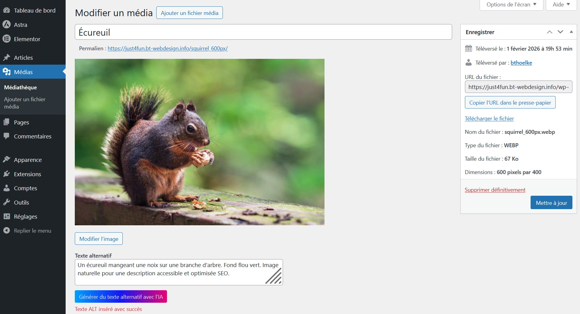 How it works (Plugin - API-Key - AI)