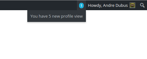 Showing notifications of profile view