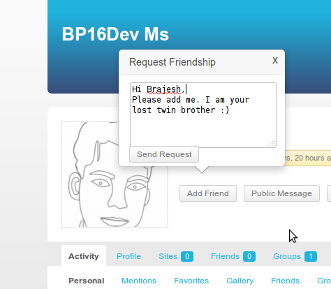 This shows sending a friendship request screenshot-1.png