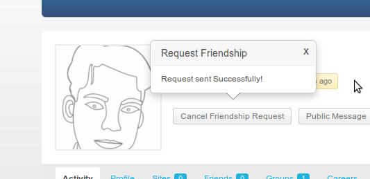This shows successful friendship request screenshot-2.png