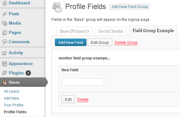 BuddyPress User Profile Fields Options