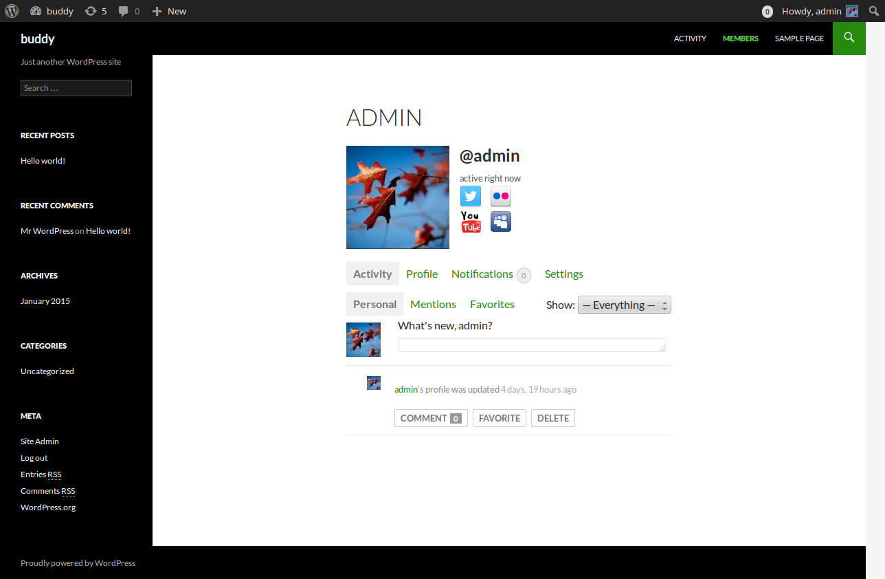 Buddypress Social Icons plugin appears after activation display at members profile page.