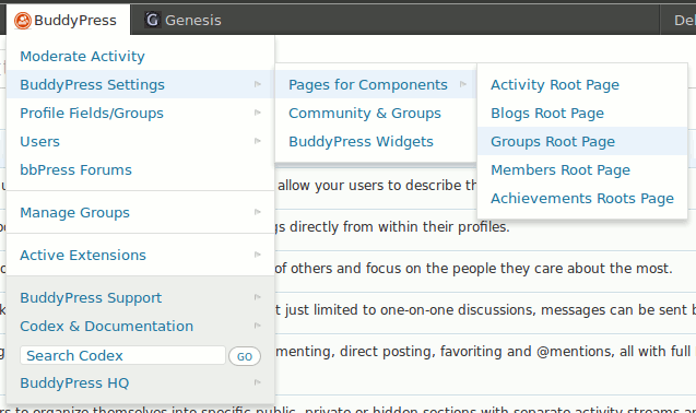 BuddyPress Toolbar in action - second level - BP settings/components and frondend roots pages of active components. ([Click here for larger version of screenshot](https://www.dropbox.com/s/badrmixj7ieotec/screenshot-2.png))