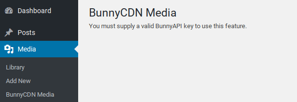 BunnyAPI Storage Zone Selection