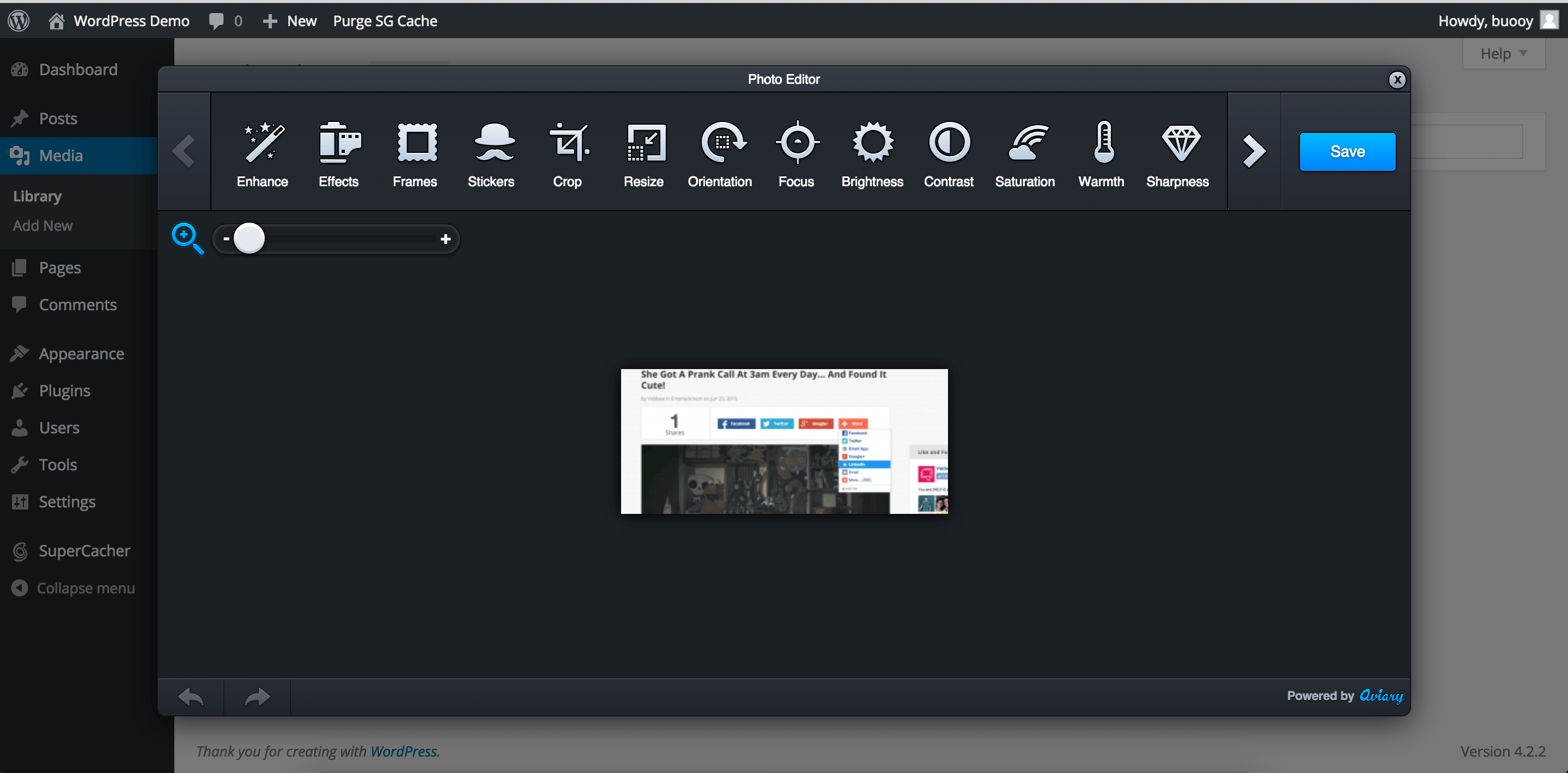 Using the Photo Editor
