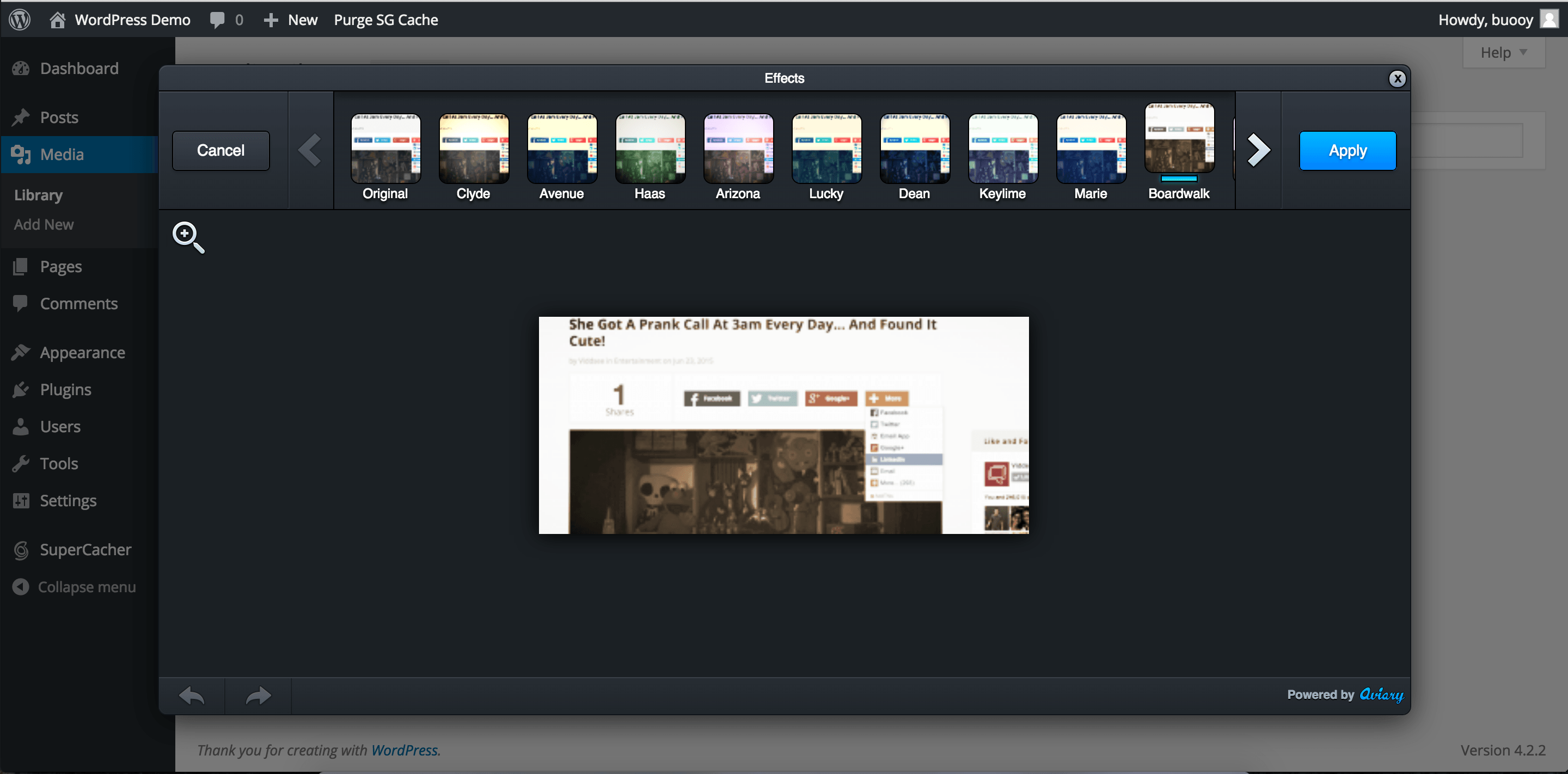 Aviary Photo Effects