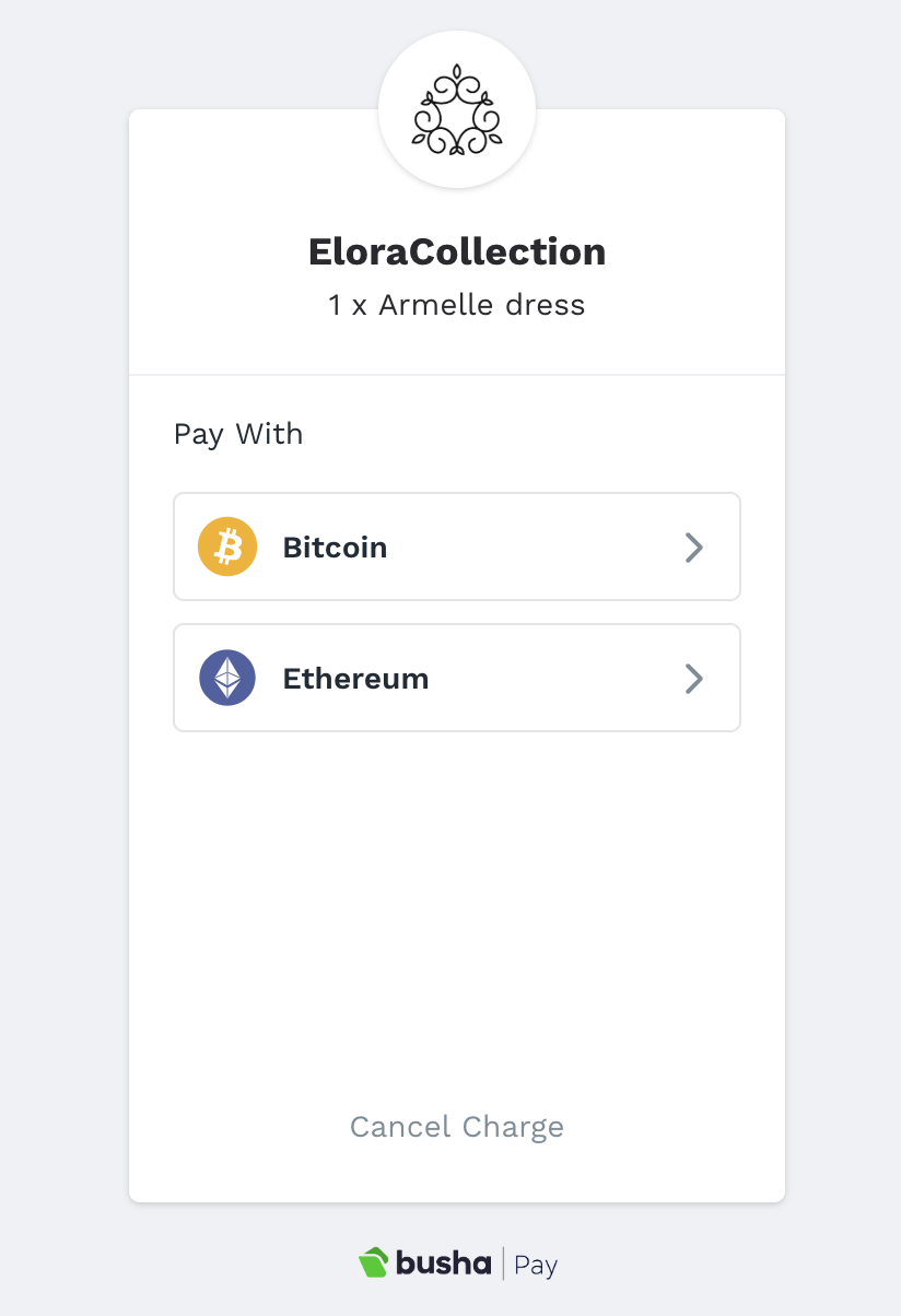 Cryptocurrency payment screen