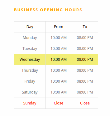 Business opening hours **Widget**