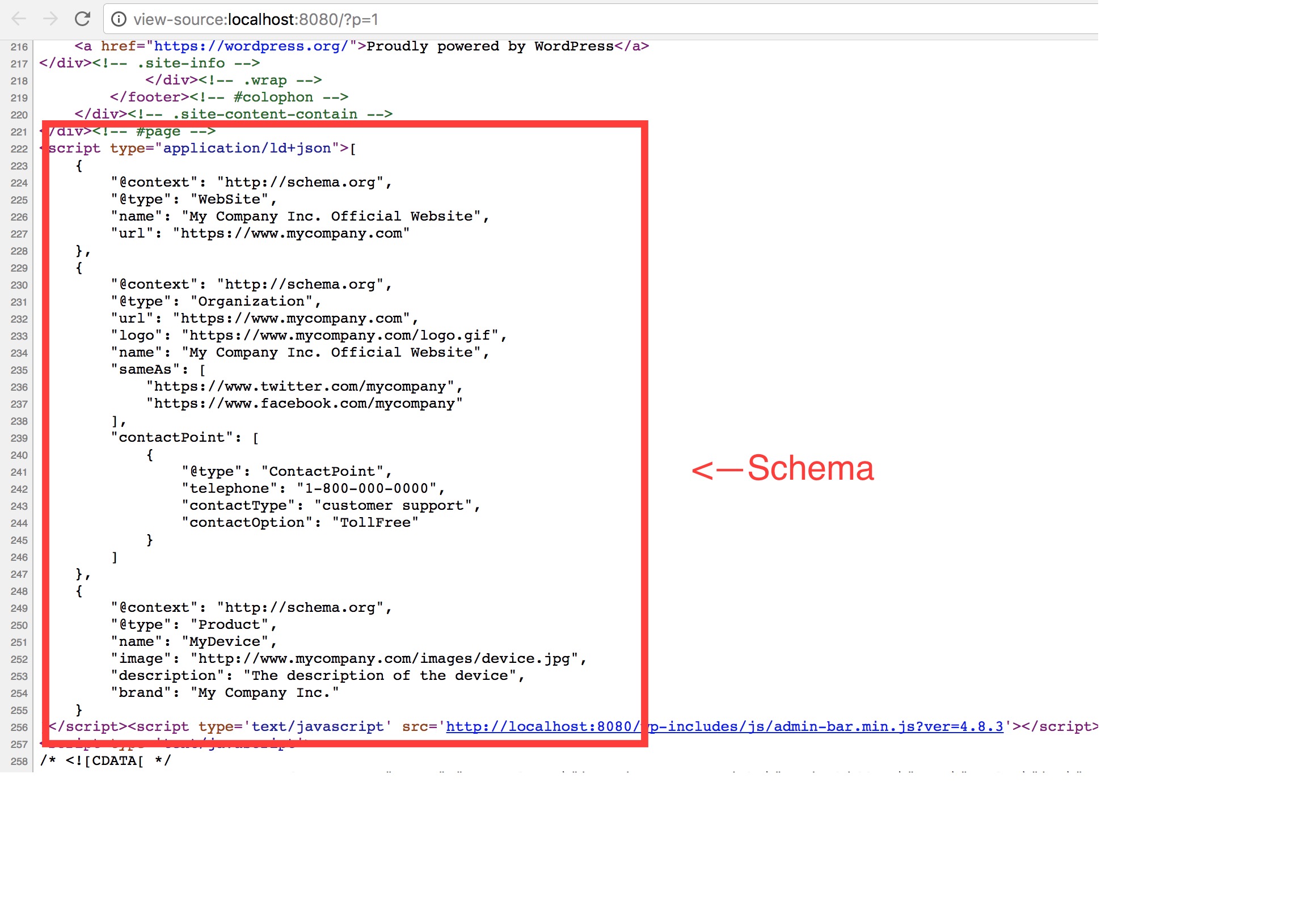 Example of a generated schema in the html source code